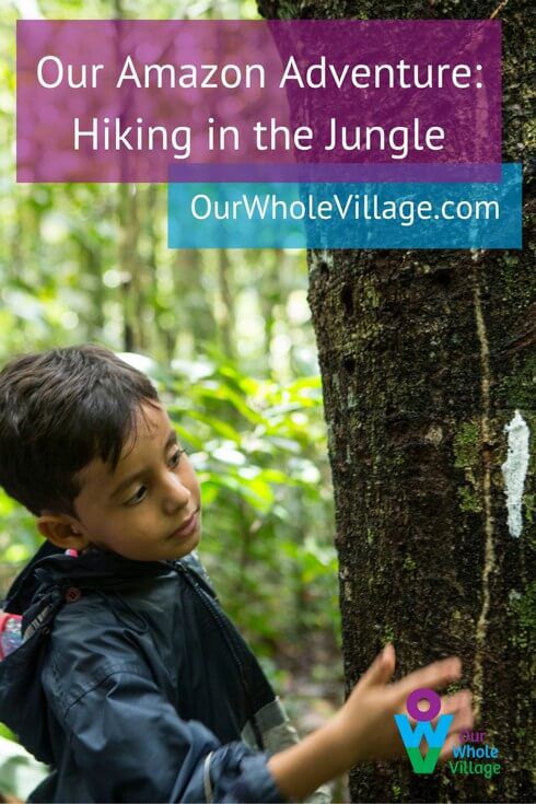 Hiking in the Brazilian Jungle with Kids