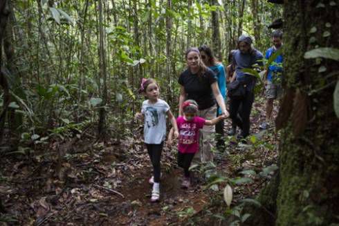 Hiking through old growth forest in the Amazon