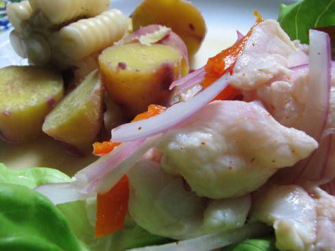 Ceviche, fish marinated in key limes, red onion and Peruvian ahi peppers, is one of Peru's most famous dishes. Photo by Don Lucho via Wikimedia.