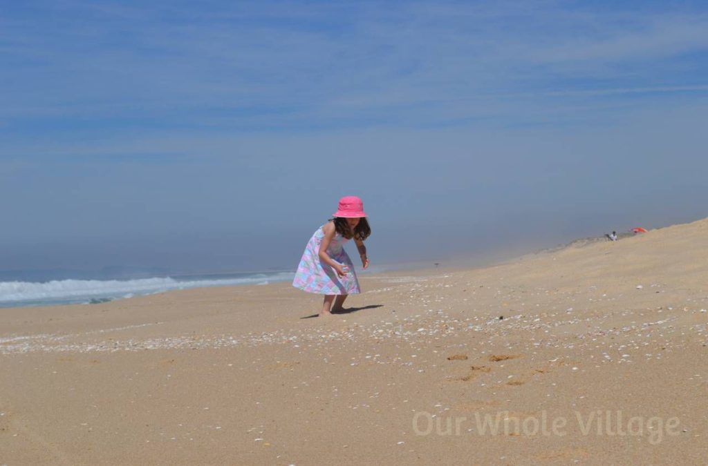 Collecting shells on the beach in Comporta, Portugal.