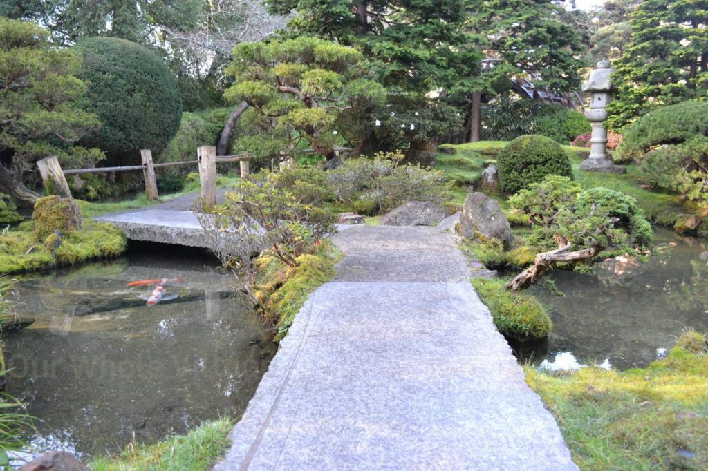The Japanese Tea Garden, another great stop within Golden Gate Park.