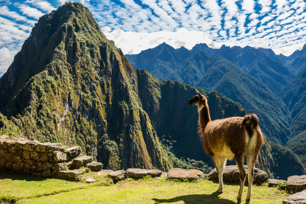 interesting facts about Machu Picchu