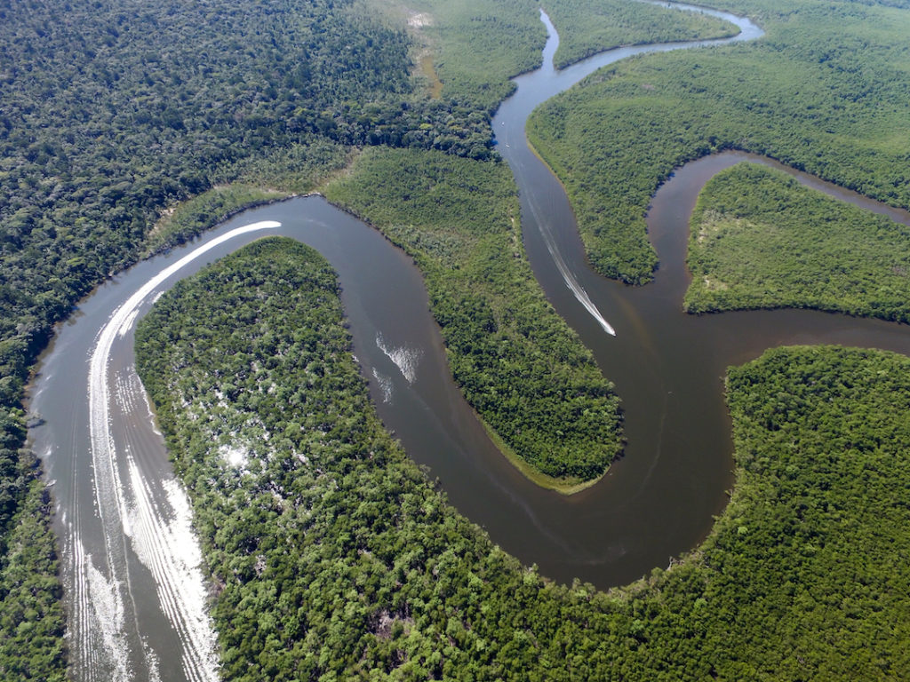 interesting facts about the Amazon rainforest