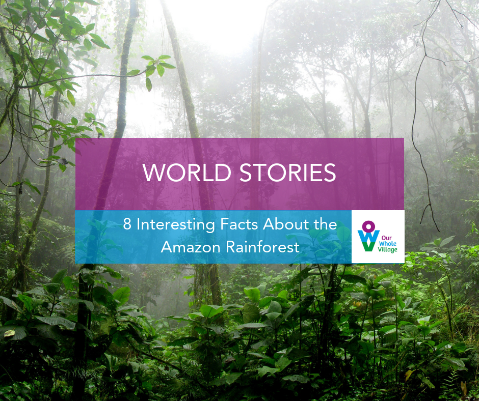 interesting facts about the Amazon rainforest