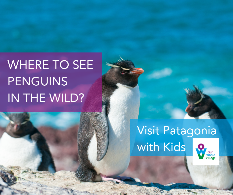 visit Patagonia with kids