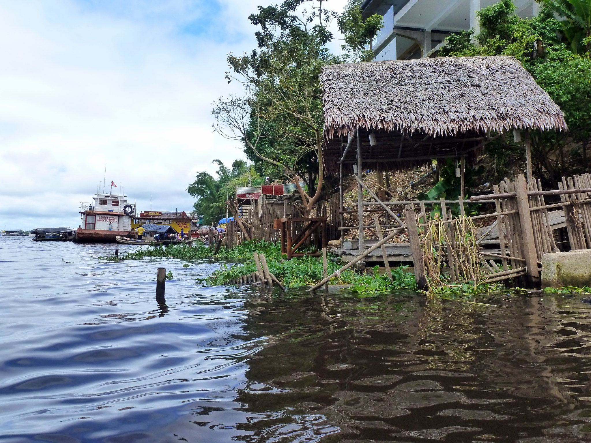 Puerto Maldonado: Gateway to the Peruvian Amazon Rainforest | Our Whole ...