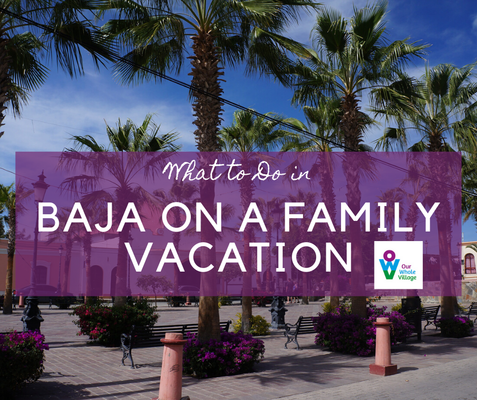 what to do in Baja