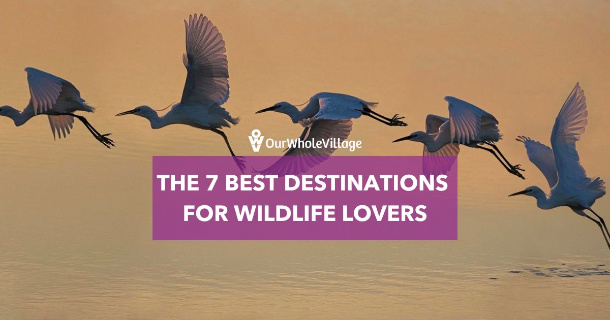 destinations for wildlife lovers