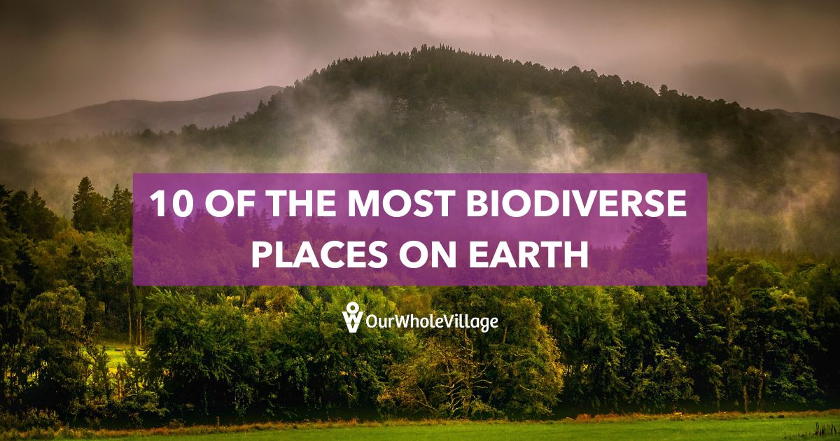 most biodiverse places on Earth