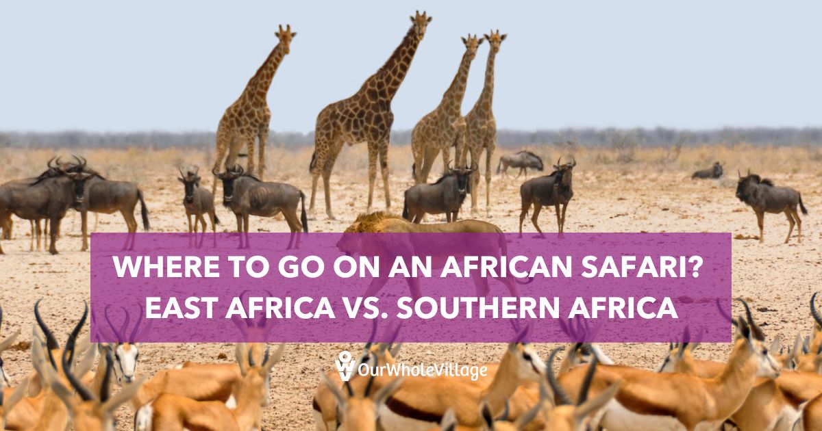 where to go on an African safari
