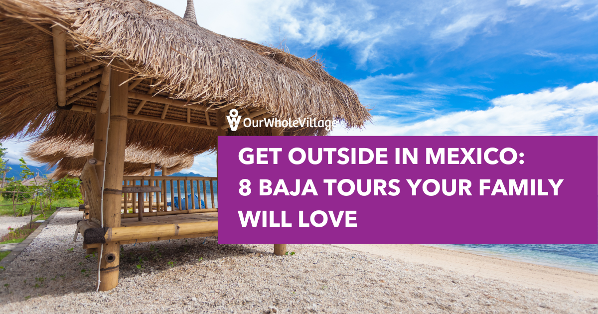 Baja tours