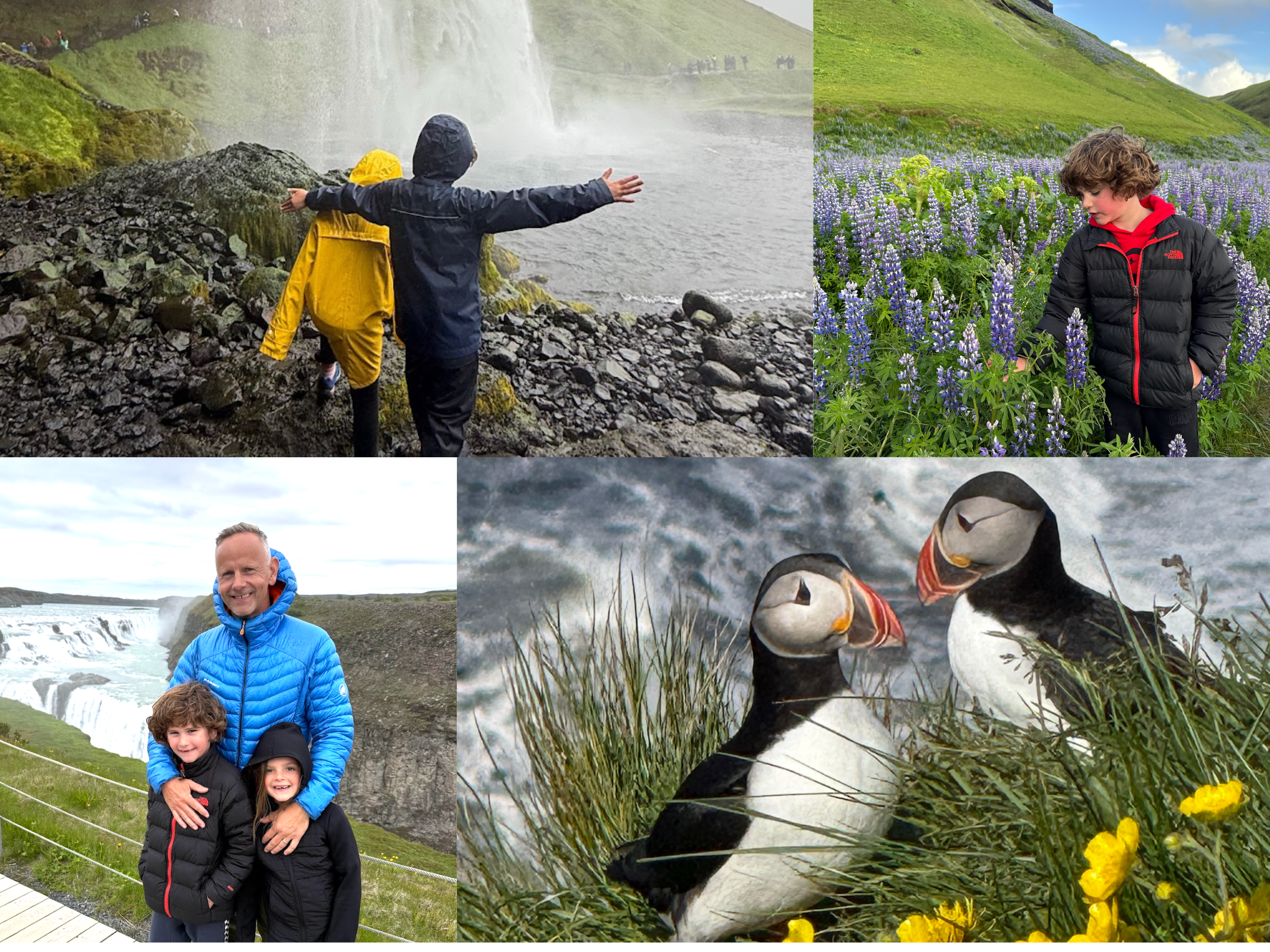 Iceland with kids